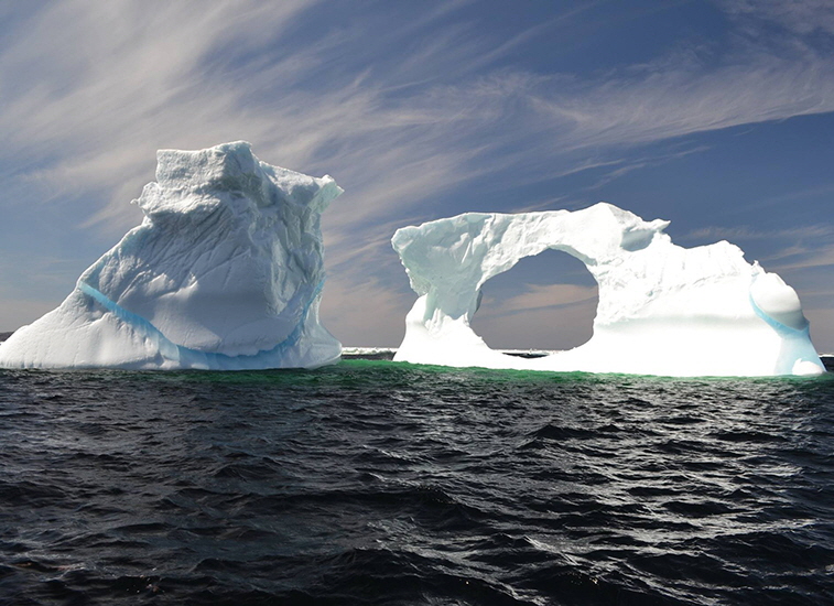 Icebergs near Twillingate | Photo: Capt Dave’s Boat & Fishing Tours.