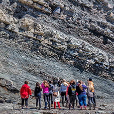 TTD Joggins Fossil Cliffs 229px