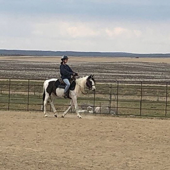 Horseback riding and equestrian training at Phoenix Ranch in Brandon, Manitoba