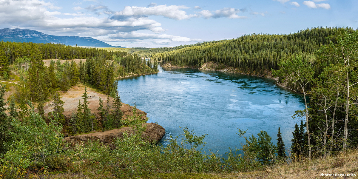 Yukon River at Schwatka Lake and the entry to Miles Canyon, near Whitehorse, Yukon | Photo: Diego Delso, Wikimedia Commons